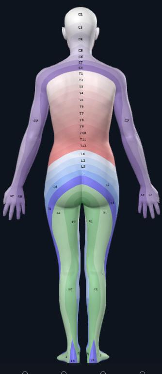 Ejemplo foto espalda