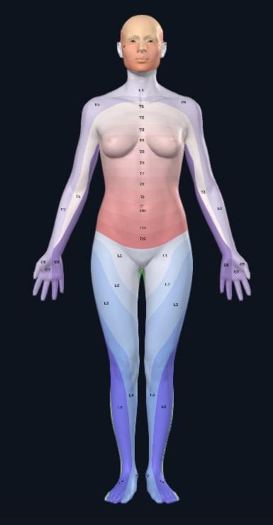 Ejemplo Foto frontal